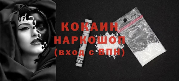 индика Михайлов