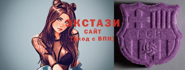 индика Михайлов