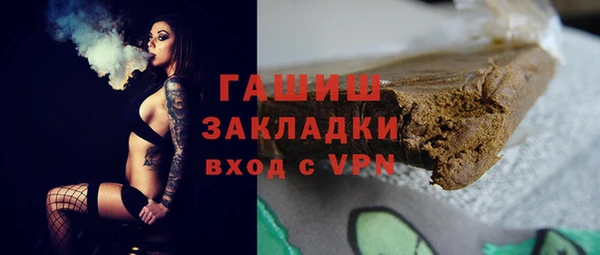 индика Михайлов