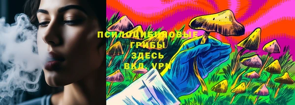 индика Михайлов