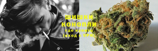 индика Михайлов