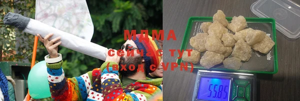 индика Михайлов