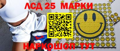 гидропоника Гатчина