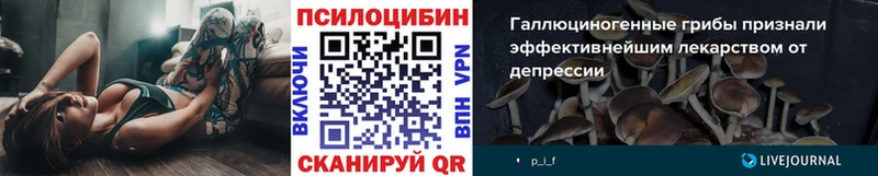 Галлюциногенные грибы MAGIC MUSHROOMS  Новокубанск 
